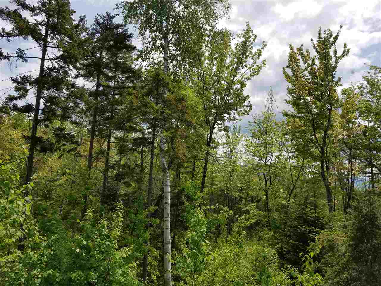 Lot 14.1 Upper Valley Road Franconia, NH 03580 - Photo 17 of 33