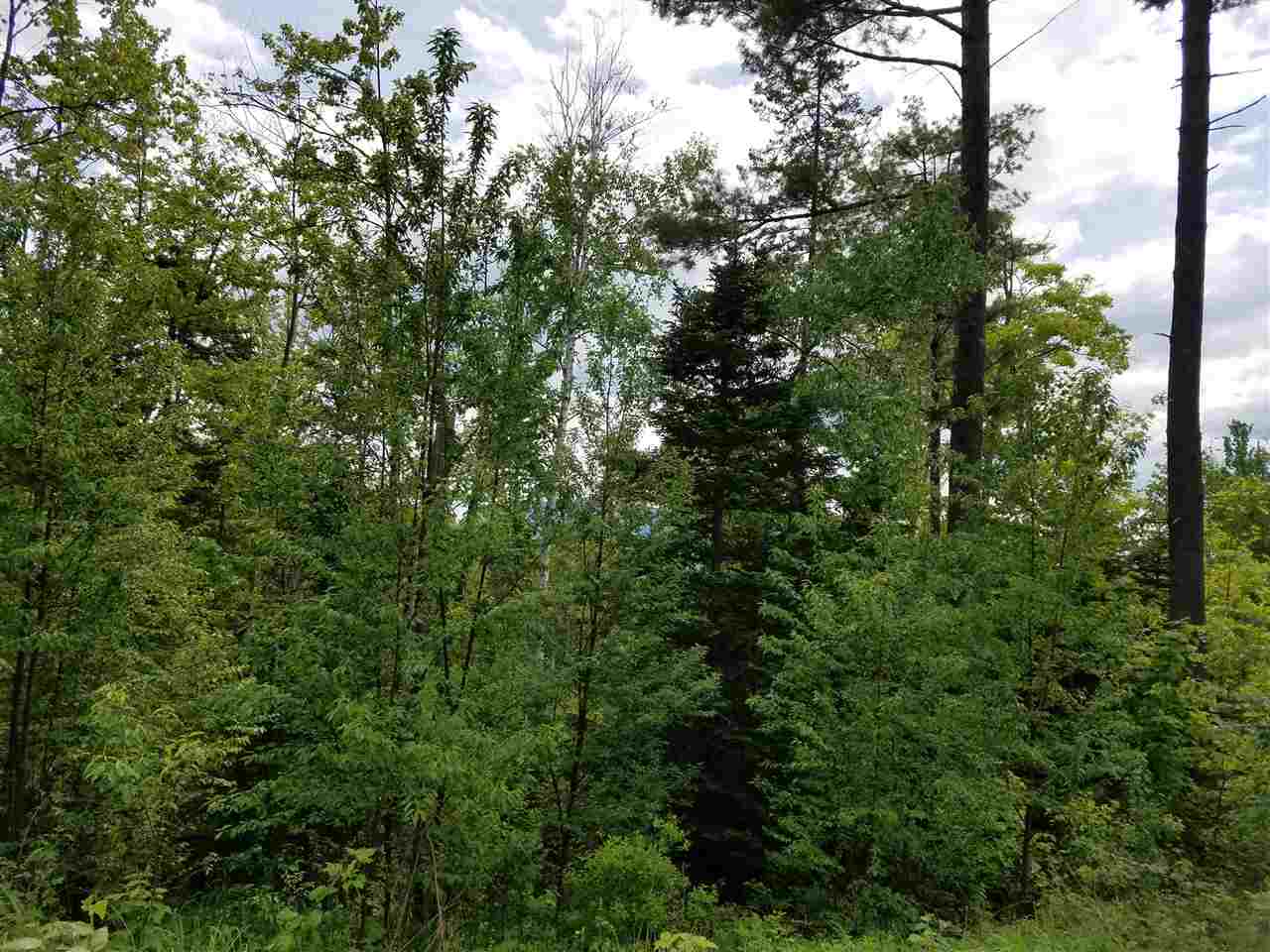 Lot 14.1 Upper Valley Road Franconia, NH 03580 - Photo 18 of 33