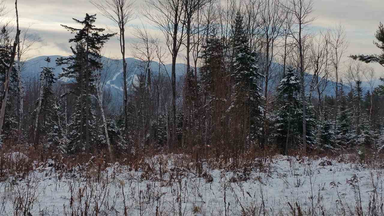 Lot 14.1 Upper Valley Road Franconia, NH 03580 - Photo 19 of 33