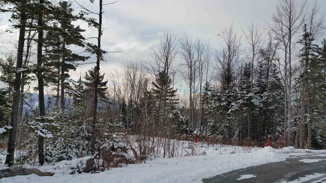 Lot 14.1 Upper Valley Road Franconia, NH 03580 - Photo 20 of 33