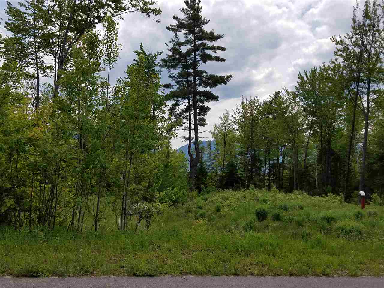 Lot 14.1 Upper Valley Road Franconia, NH 03580 - Photo 3 of 33