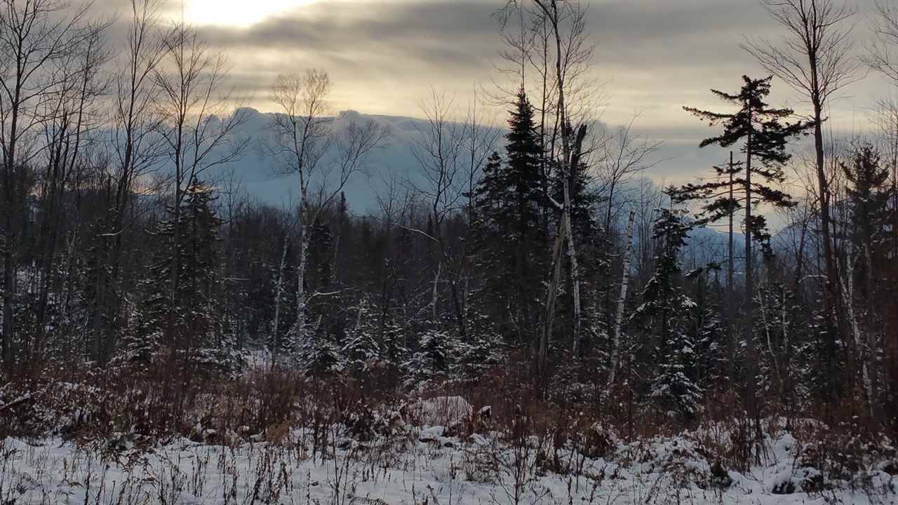 Lot 14.1 Upper Valley Road Franconia, NH 03580 - Photo 22 of 33