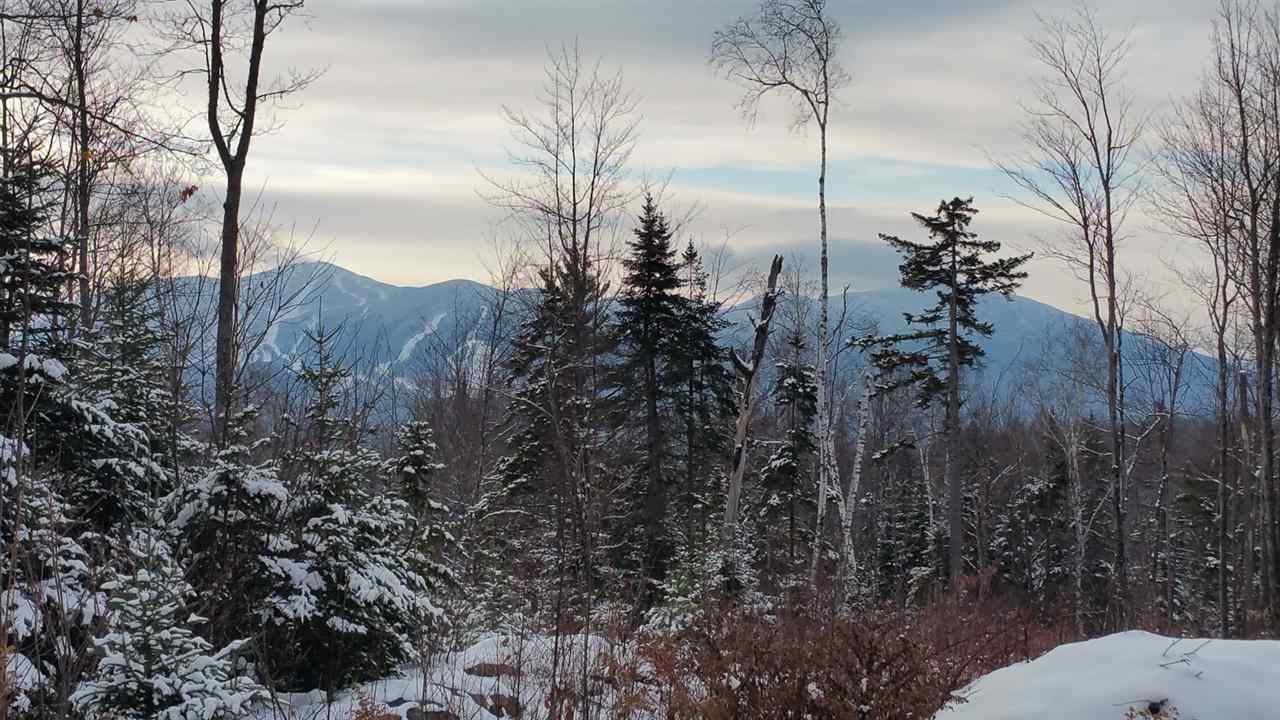 Lot 14.1 Upper Valley Road Franconia, NH 03580 - Photo 25 of 33