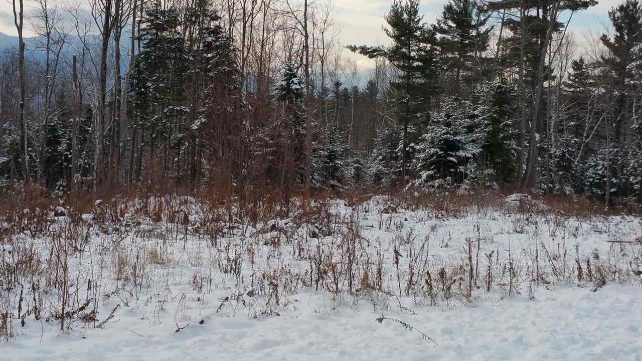 Lot 14.1 Upper Valley Road Franconia, NH 03580 - Photo 30 of 33