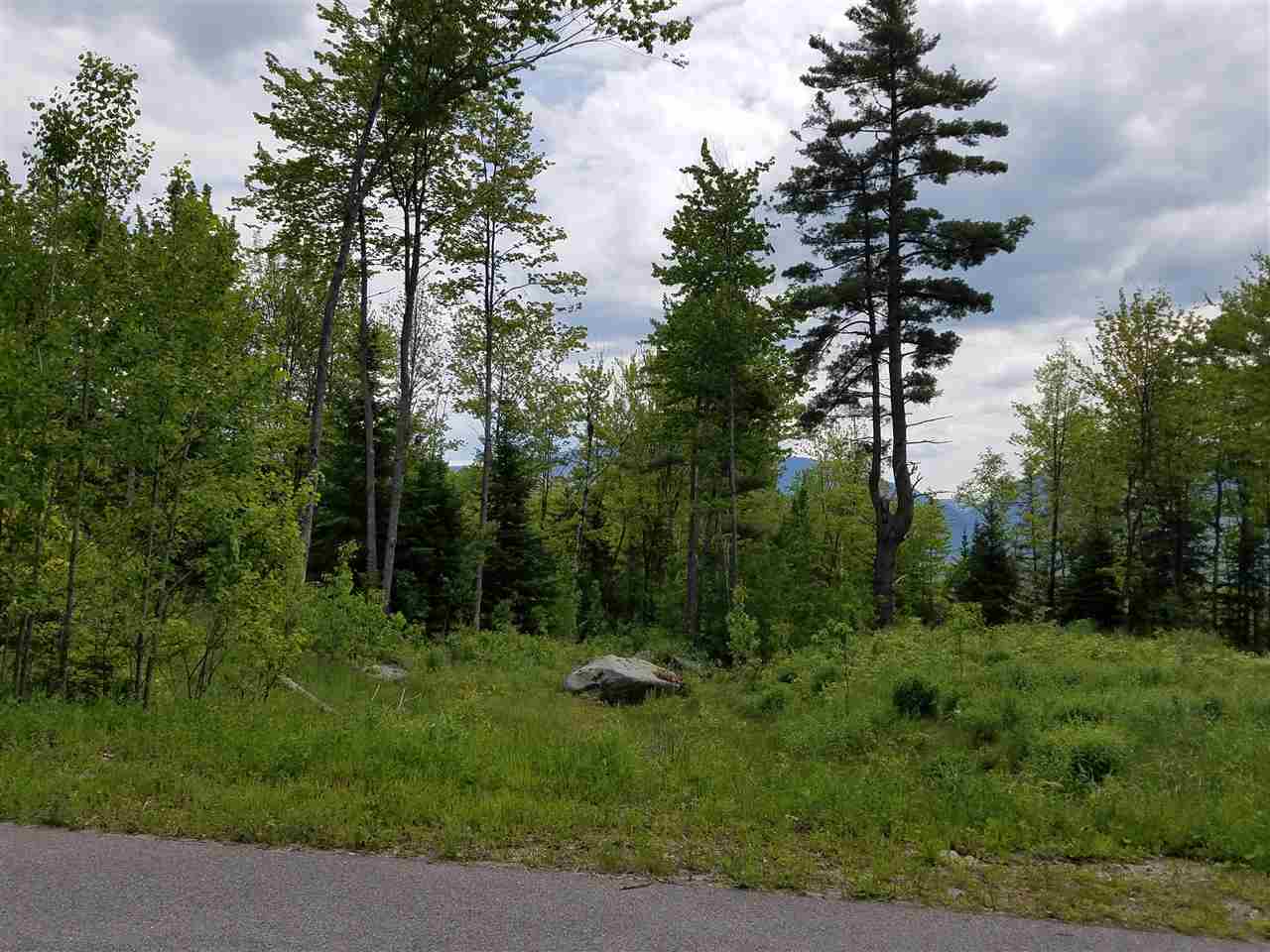 Lot 14.1 Upper Valley Road Franconia, NH 03580 - Photo 4 of 33