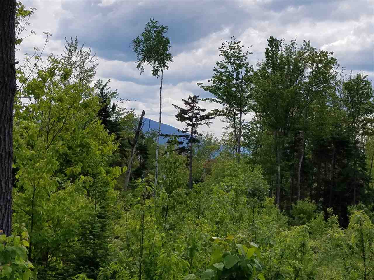 Lot 14.1 Upper Valley Road Franconia, NH 03580 - Photo 8 of 33