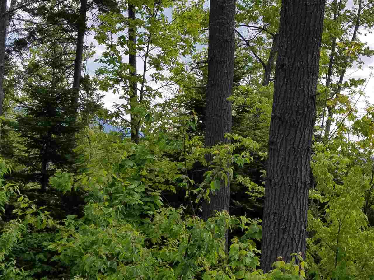 Lot 14.1 Upper Valley Road Franconia, NH 03580 - Photo 9 of 33