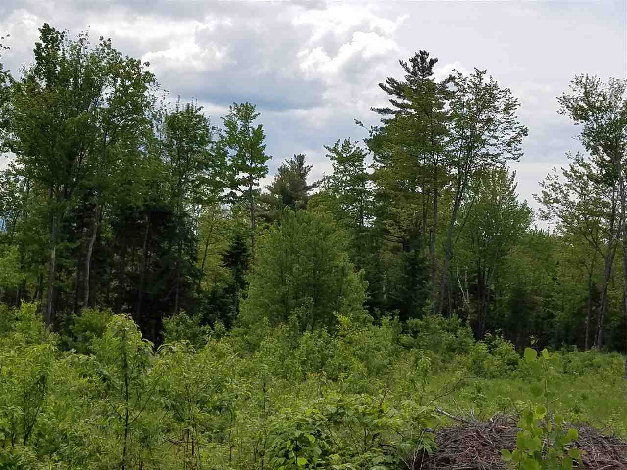 Lot 14.1 Upper Valley Road Franconia, NH 03580 - Photo 10 of 33