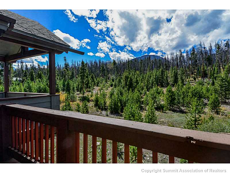 1124 Emerald Road Silverthorne, CO 80498 - Photo 18 of 24 View. Views of Buffalo from master bedroom.