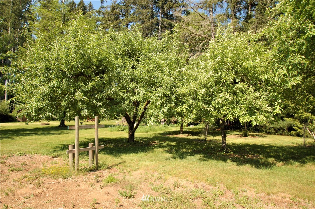 331 Southeast Cole Road Shelton, WA 98584 - Photo 15 of 15 Gallery Image 15