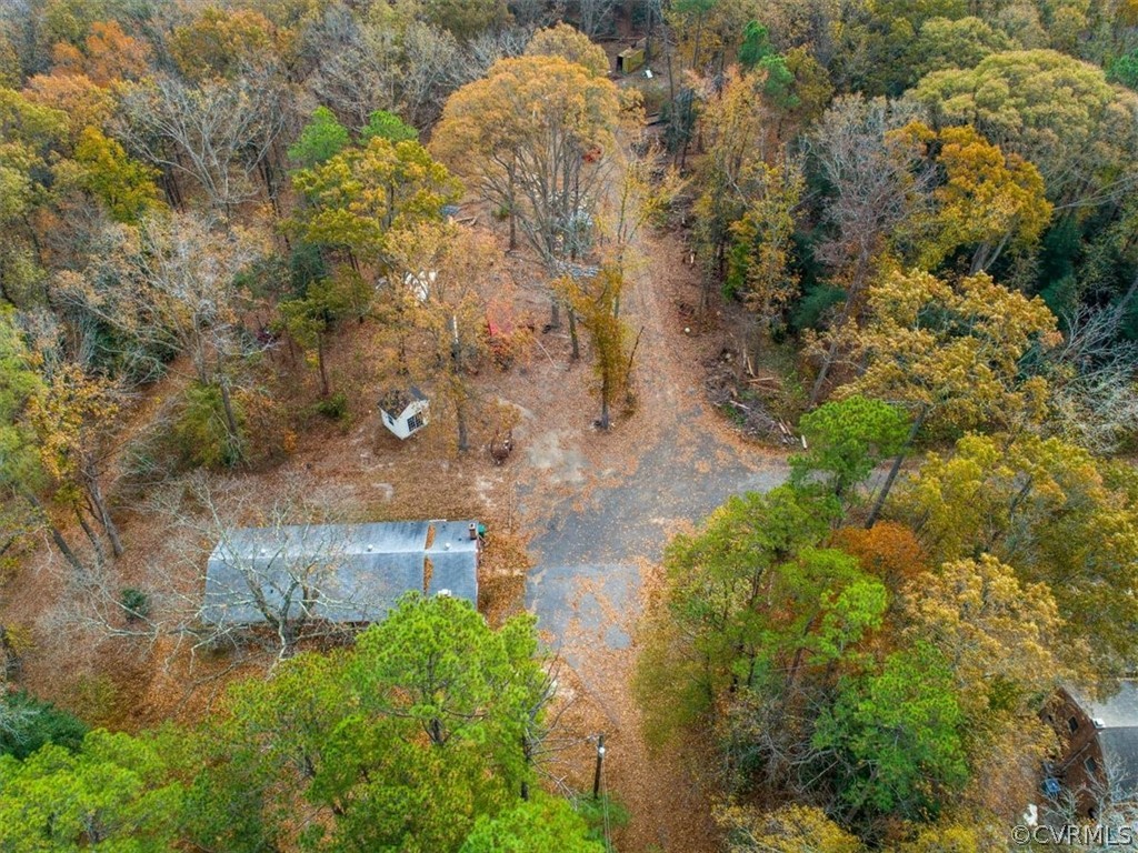 8343 Hull Street Road North Chesterfield, VA 23235 - Photo 7 of 7 a view of a yard with plants and large trees