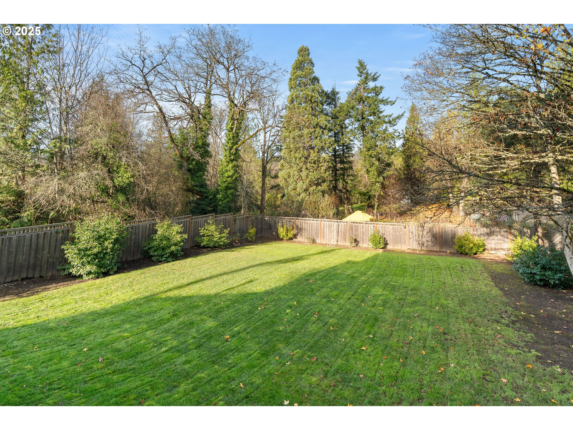 10805 Northwest Cornell Road Portland, OR 97229 - Photo 18 of 39 a view of a backyard