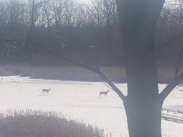 $899,999 | 7715 West Wind Lake Road, Norway, WI 53185