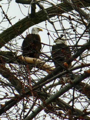 $899,999 | 7715 West Wind Lake Road, Norway, WI 53185