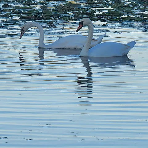 $899,999 | 7715 West Wind Lake Road, Norway, WI 53185