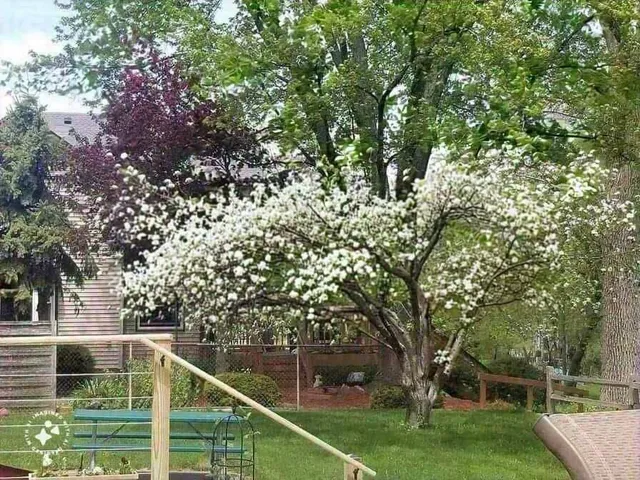 $899,999 | 7715 West Wind Lake Road, Norway, WI 53185