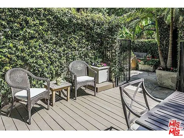 a view of a potted plant in front of a house