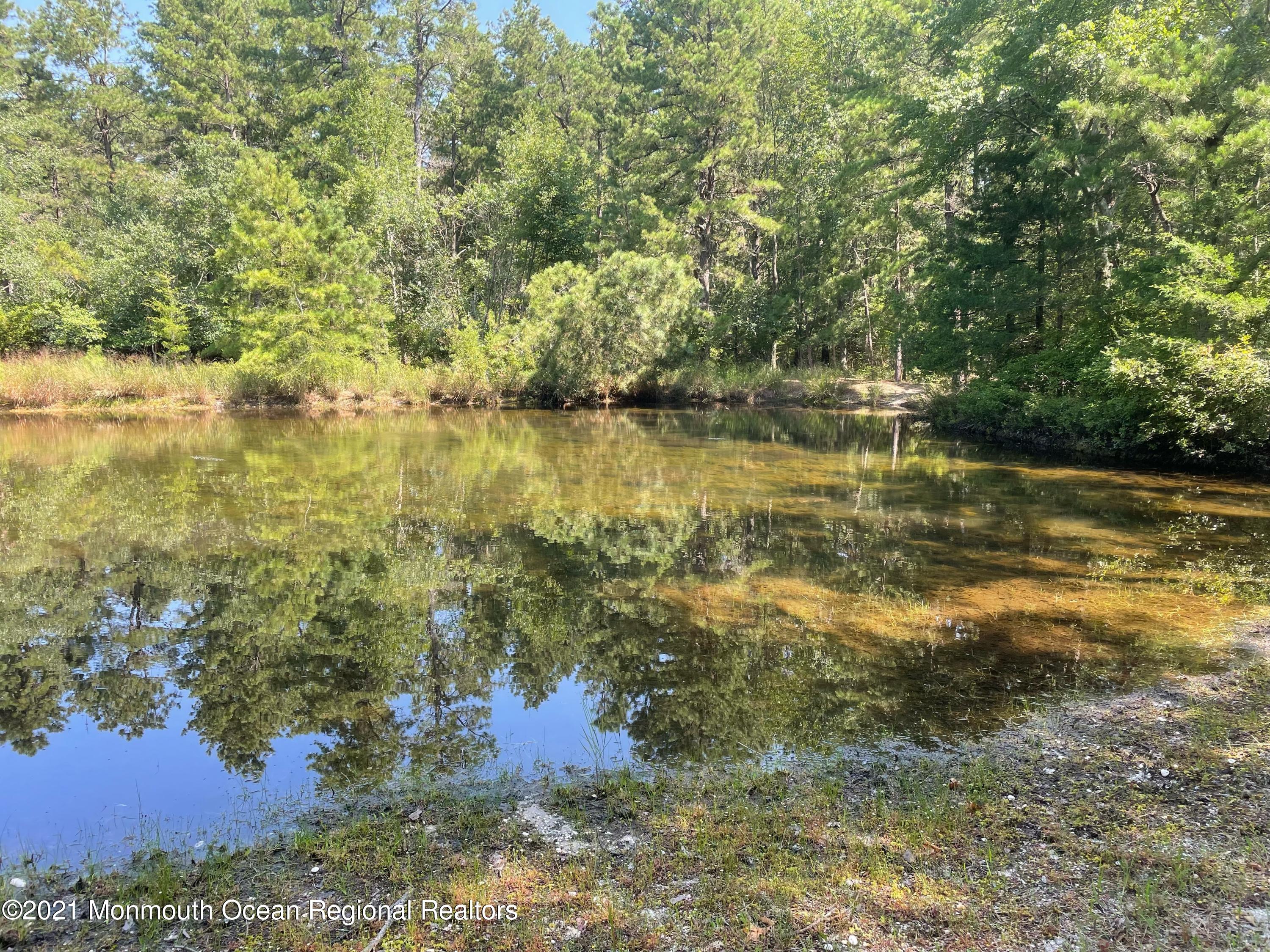 160 Pasadena Road Whiting, NJ 08759 - Photo 46 of 49 049_img_4703_3
