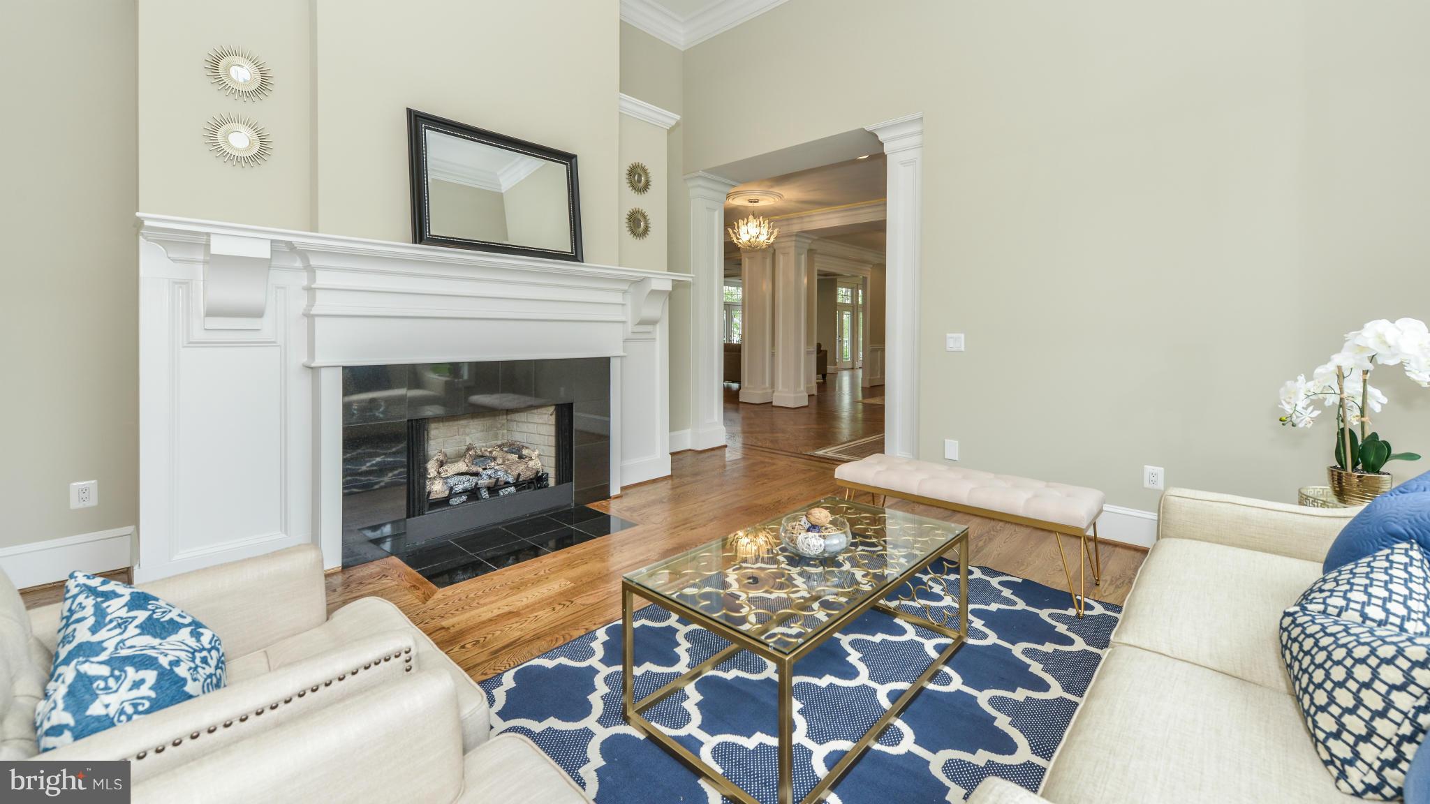 9018 Old Courthouse Road Vienna, VA 22182 - Photo 5 of 28 Living Room