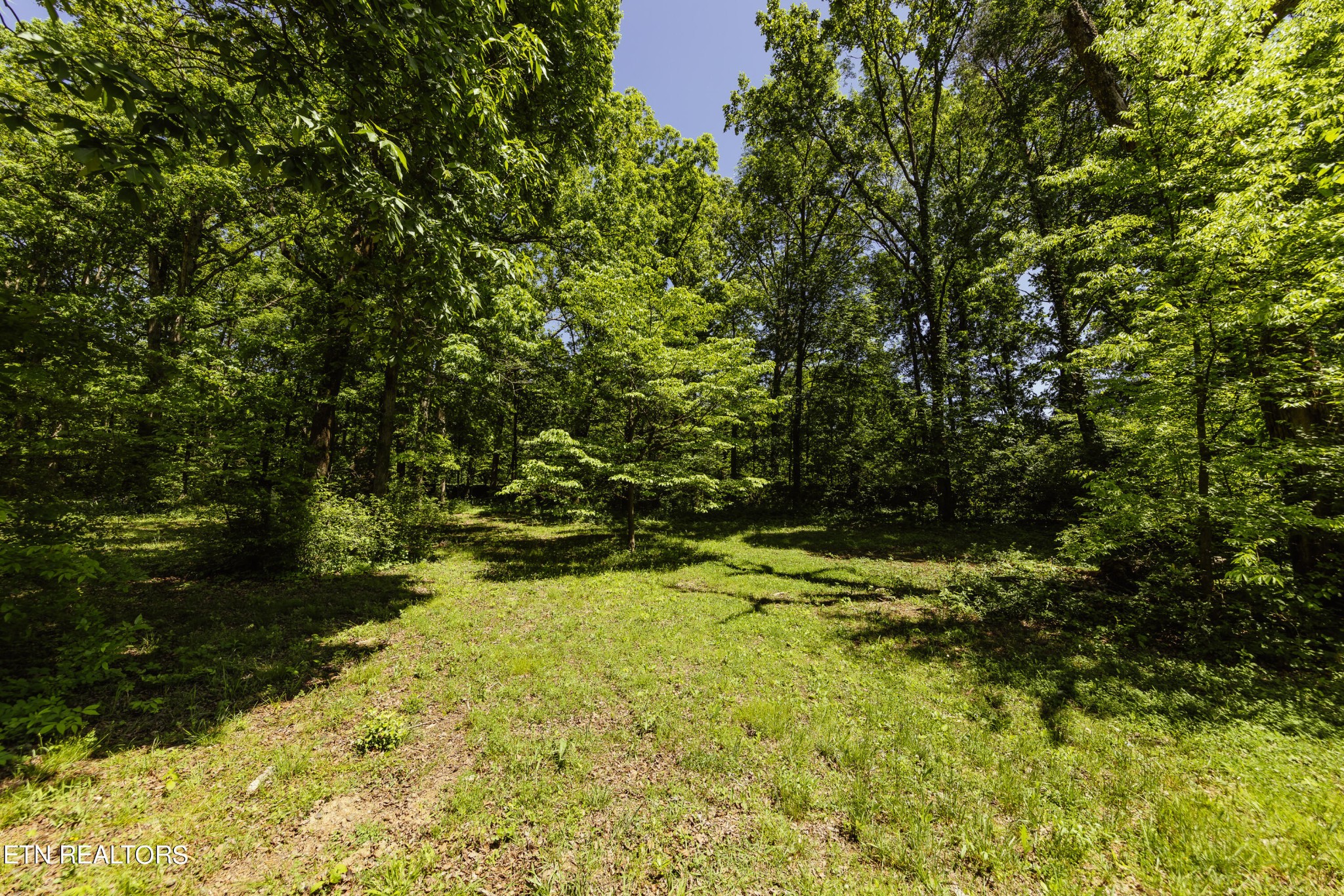5937 Morganton Road Greenback, TN 37742 - Photo 15 of 47 Gallery Image 15