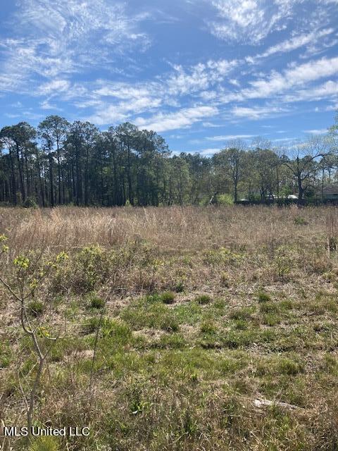 0 Riley Road Ocean Springs, MS 39564 - Photo 1 of 1 IMG_2030