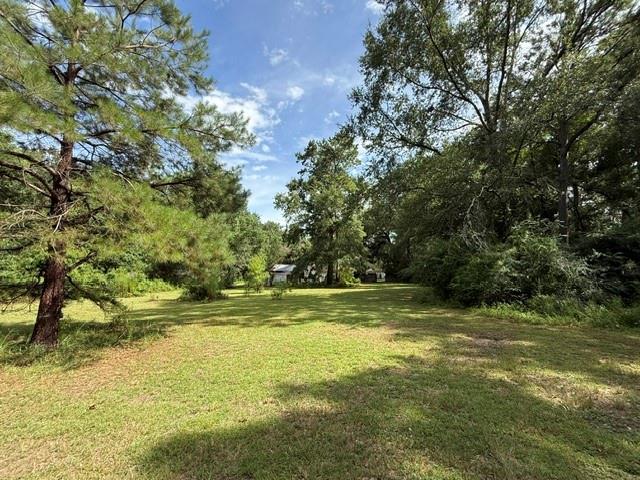 314 Deerfield Road Folsom, LA 70437 - Photo 6 of 26