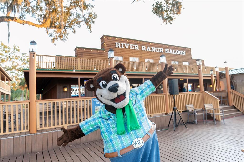 371 Bobcat Lane River Ranch, FL 33867 - Photo 11 of 23