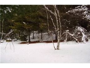 56 Pine Cove Road Campton, NH 03223 - Photo 4 of 4