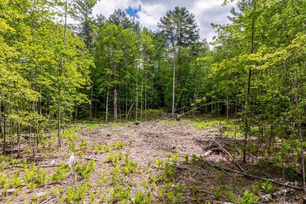 2 Bean Road Plainfield, NH 03781 - Photo 4 of 22
