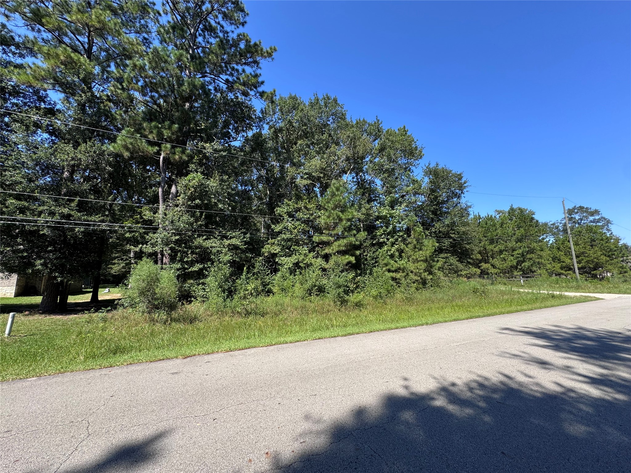 17210 Pecos Drive Splendora, TX 77372 - Photo 6 of 7 a view of a street with a yard
