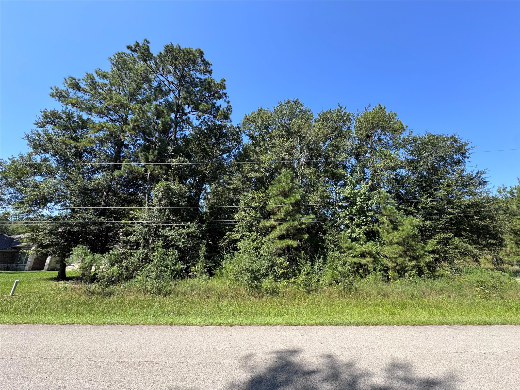 17210 Pecos Drive Splendora, TX 77372 - Photo 7 of 7 a view of a yard with a tree