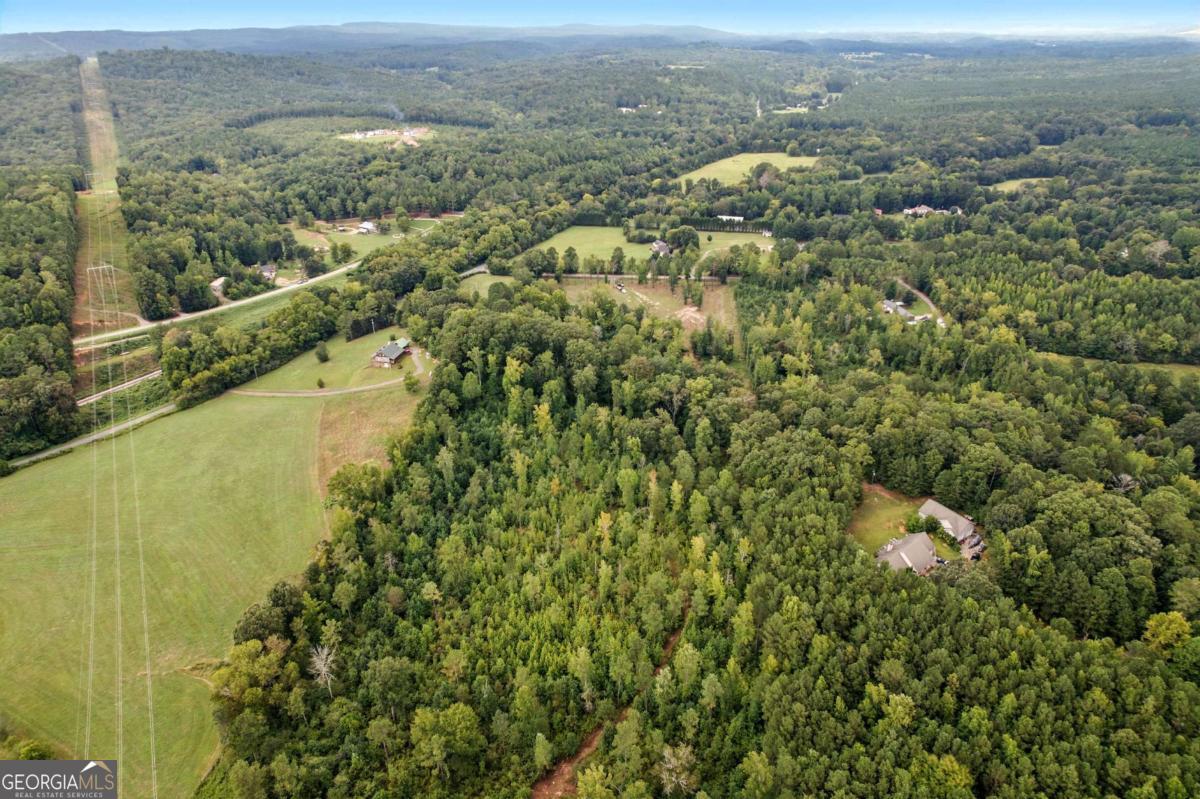an aerial view of residential houses with outdoor space and trees