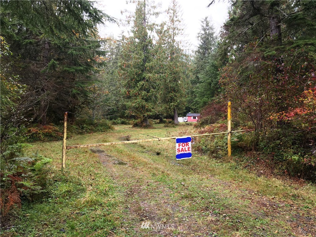 210 Blue Bird Road Ashford, WA 98304 - Photo 1 of 7 Gallery Image 1