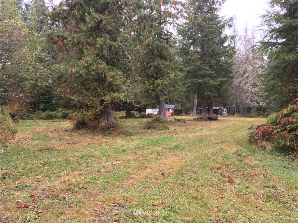 210 Blue Bird Road Ashford, WA 98304 - Photo 4 of 7 Gallery Image 4
