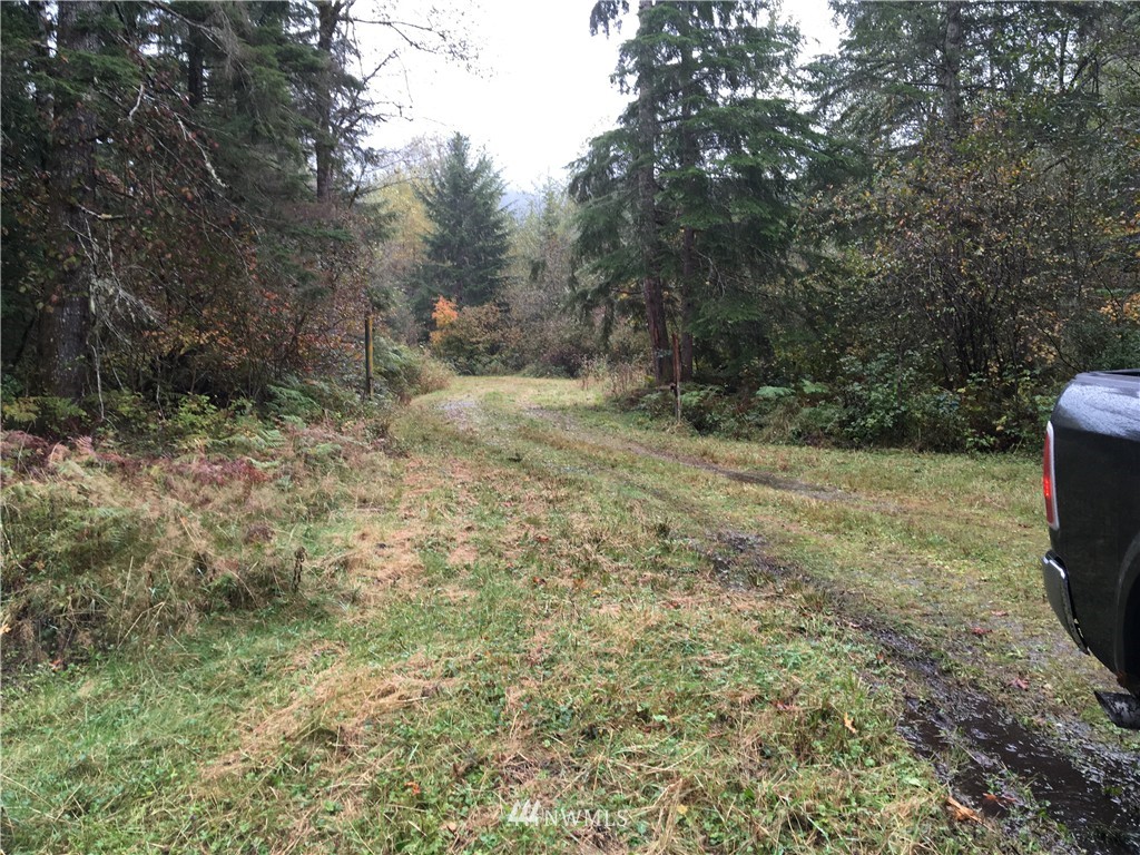 210 Blue Bird Road Ashford, WA 98304 - Photo 5 of 7 Gallery Image 5