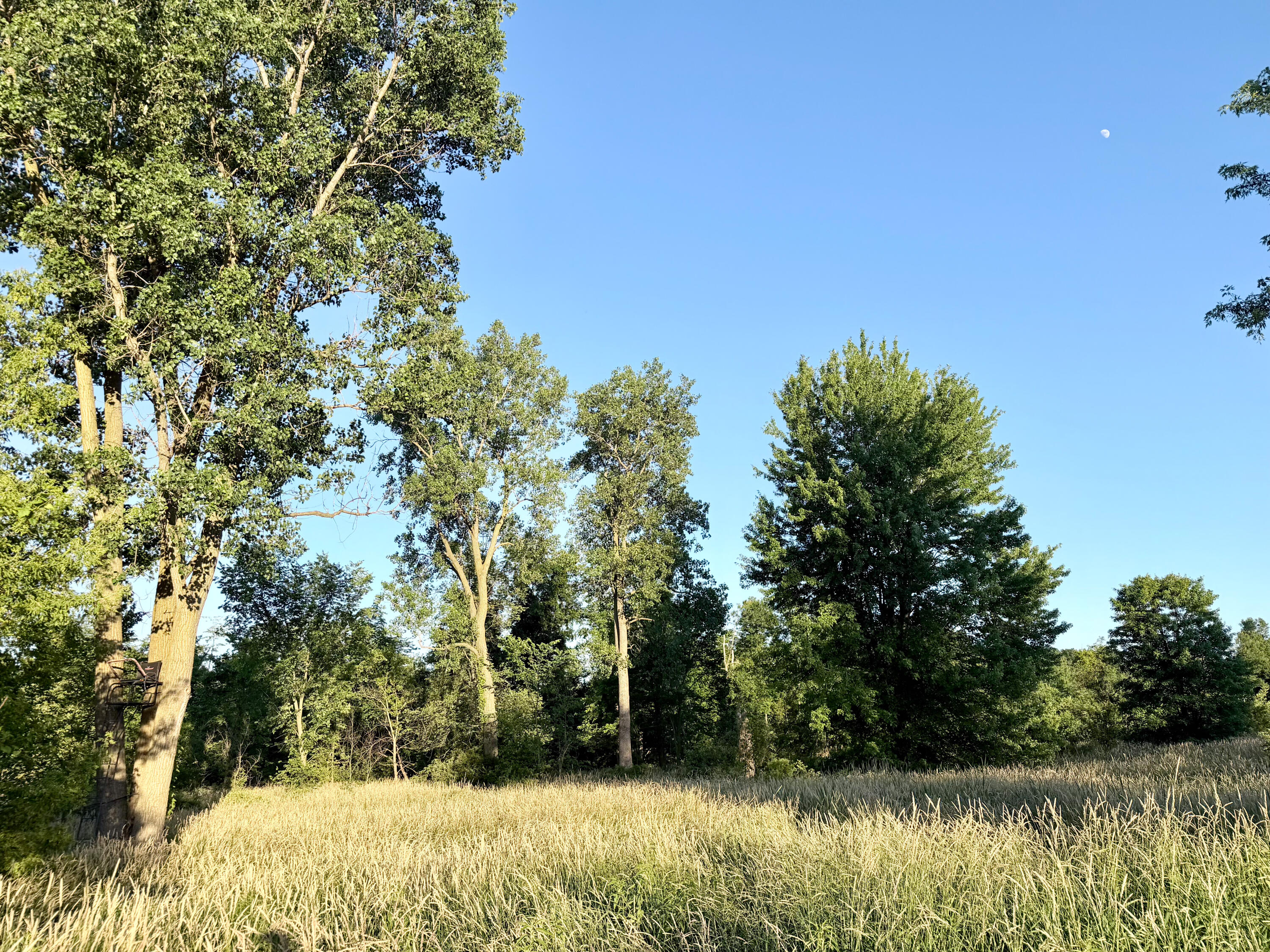 8375 South Stoney Lake Road Jackson, MI 49201 - Photo 60 of 101 Jackson 111.84-040