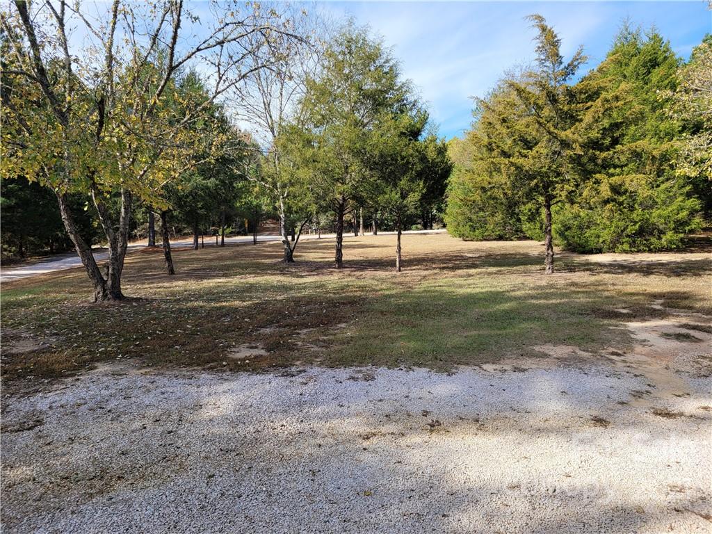 4725 Blade Run Road Edgemoor, SC 29712 - Photo 12 of 20 Gallery Image 12