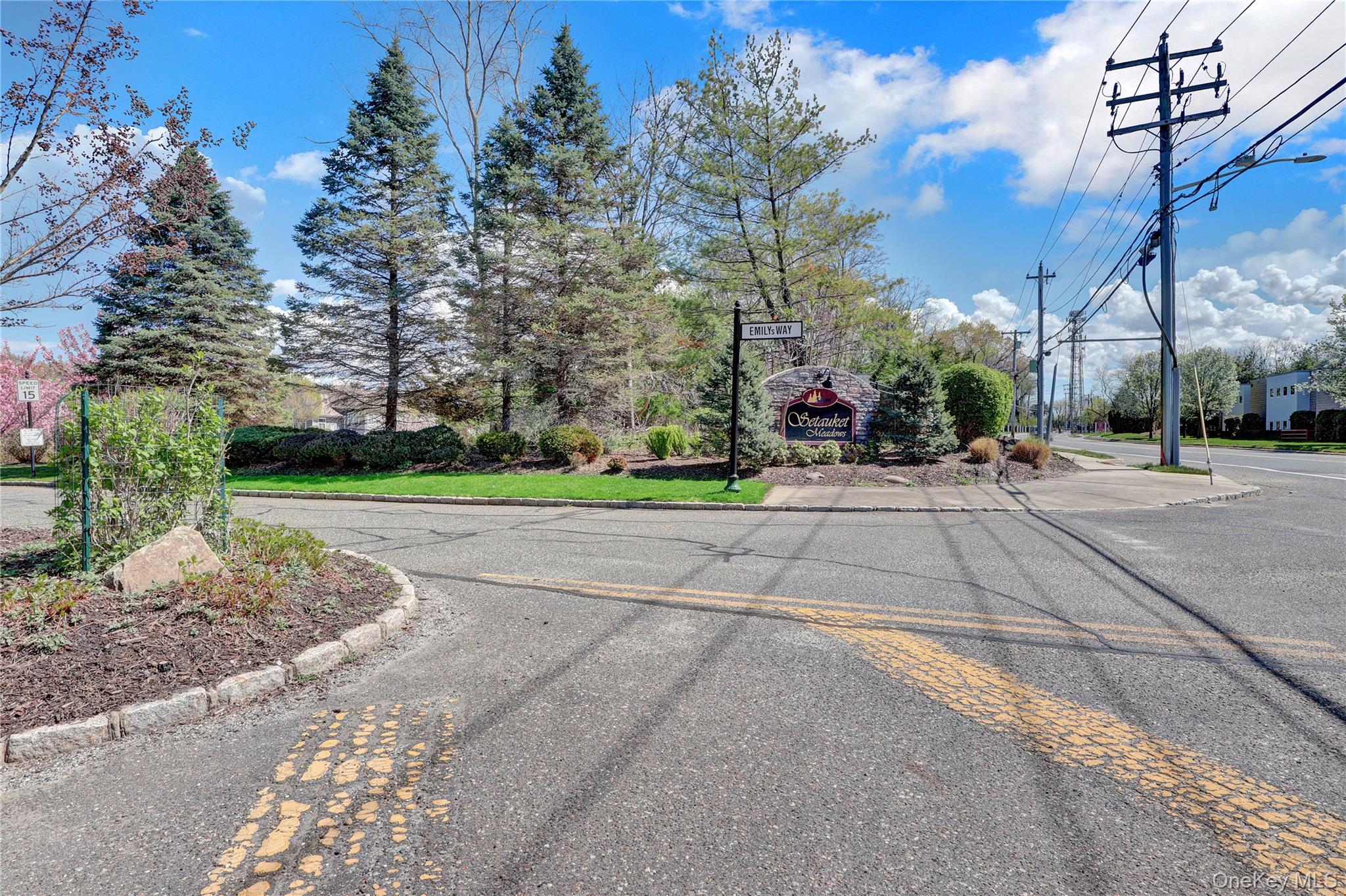 58 Blair Road, Unit 58 East Setauket, NY 11733 - Photo 41 of 41