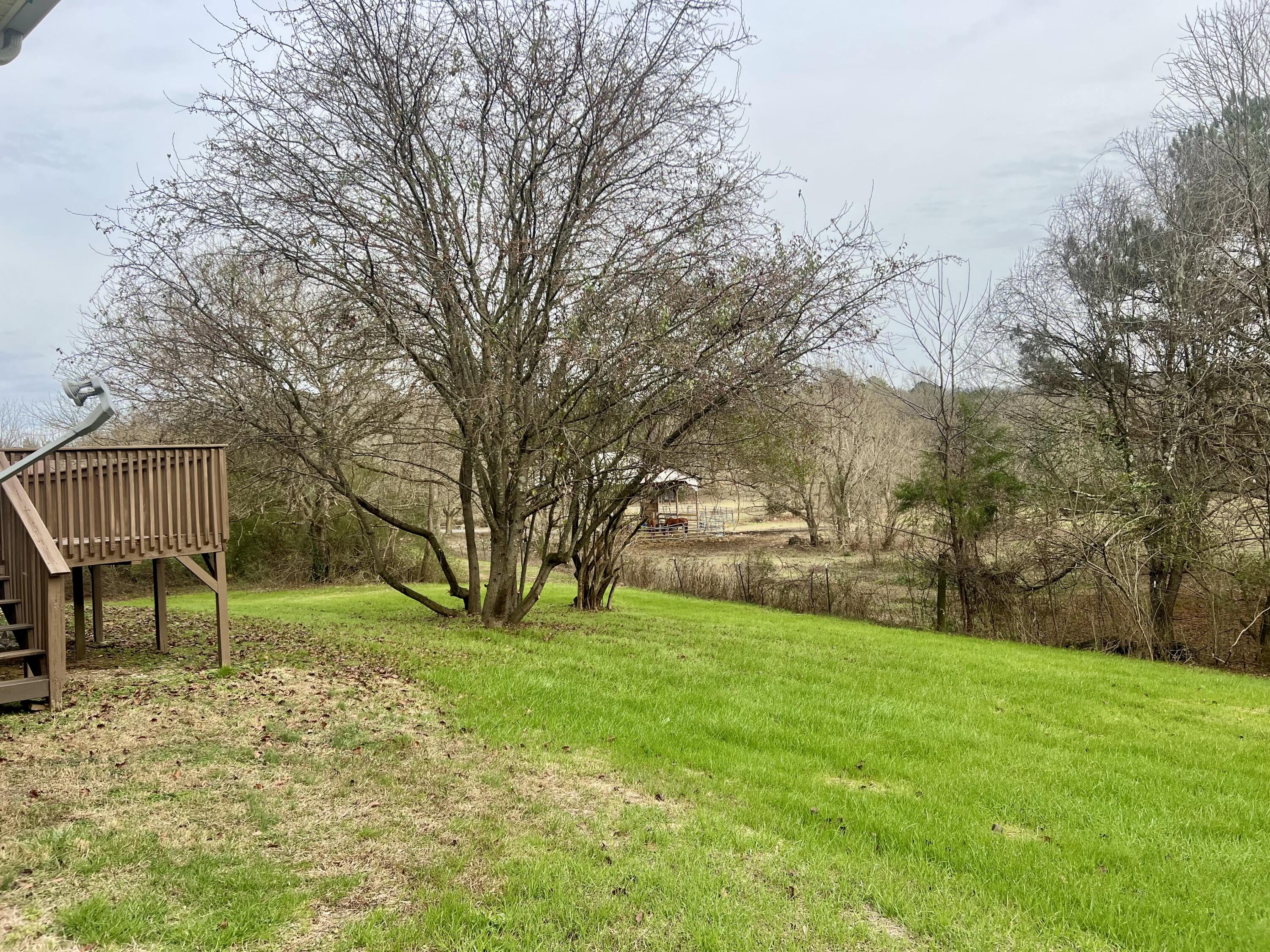 713 Mt Pisgah Road Ringgold, GA 30736 - Photo 20 of 21 IMG_3969