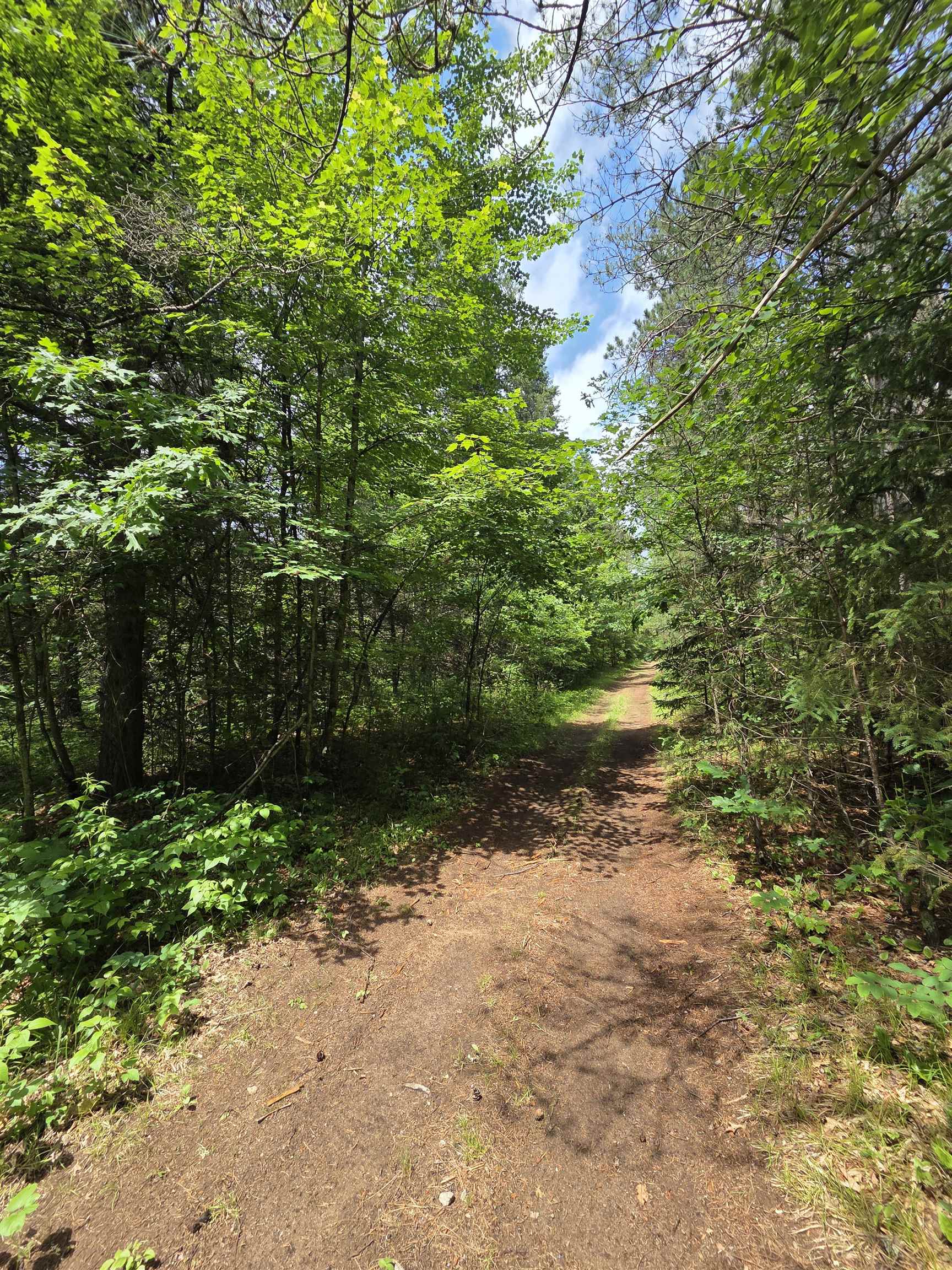 Tower Road Athelstane, WI 54104 - Photo 14 of 25