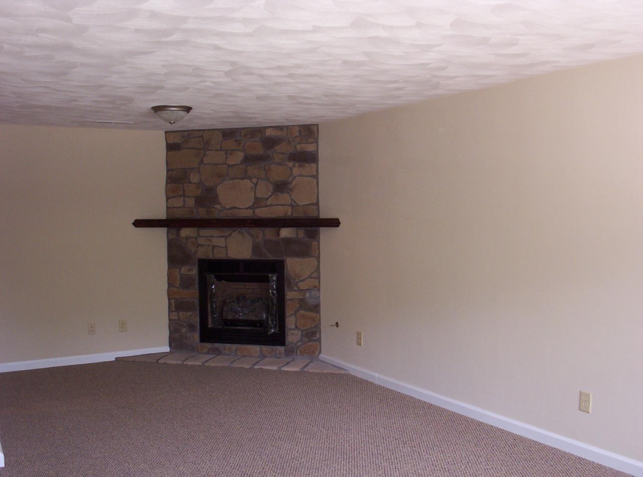 0 Camp Mitchell Road New Castle, VA 24127 - Photo 4 of 7 Fireplace