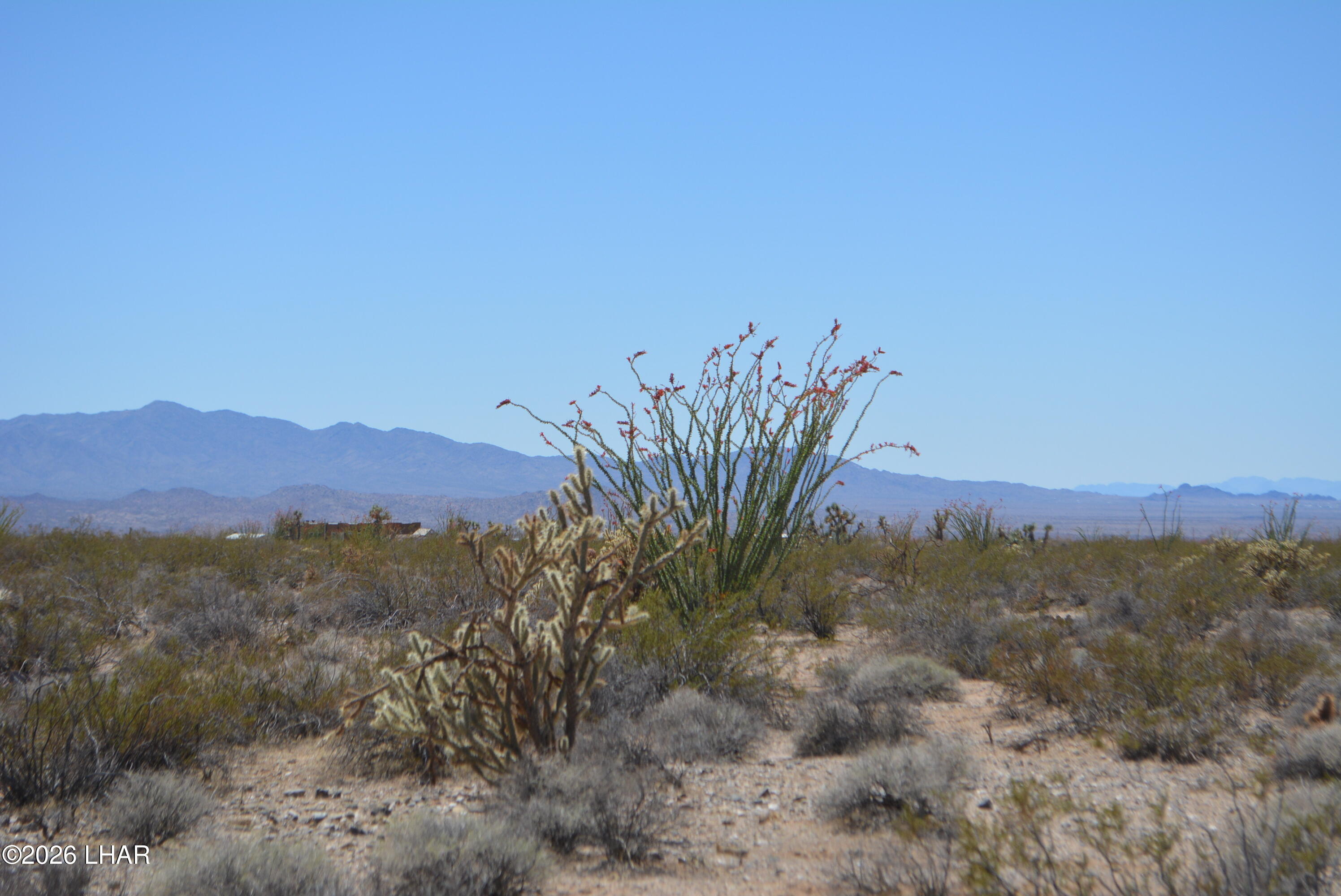 199 Cortaro Road Yucca, AZ 86438 - Photo 14 of 39 a view of a yard with a mountain