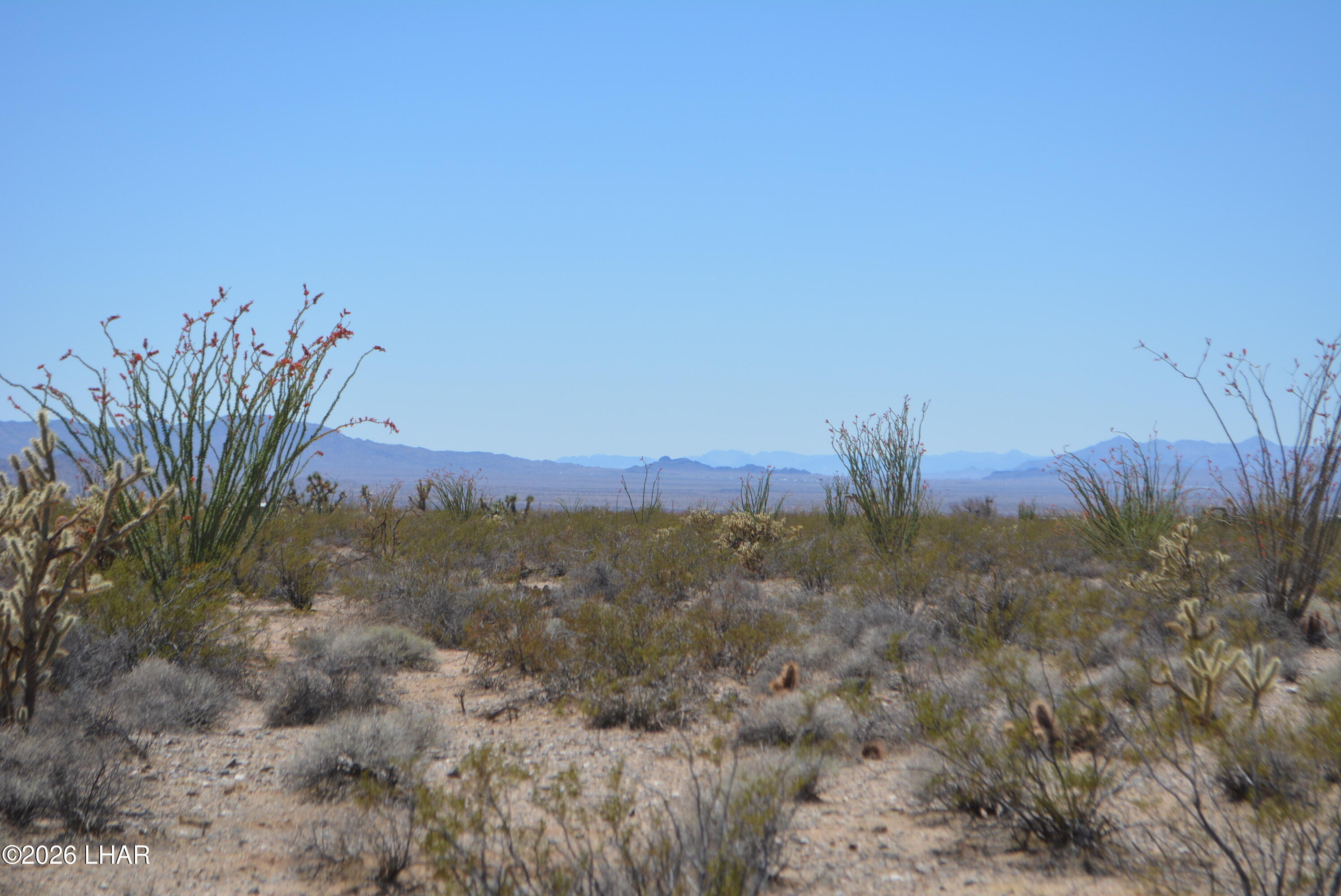 199 Cortaro Road Yucca, AZ 86438 - Photo 15 of 39 a view of a dry yard