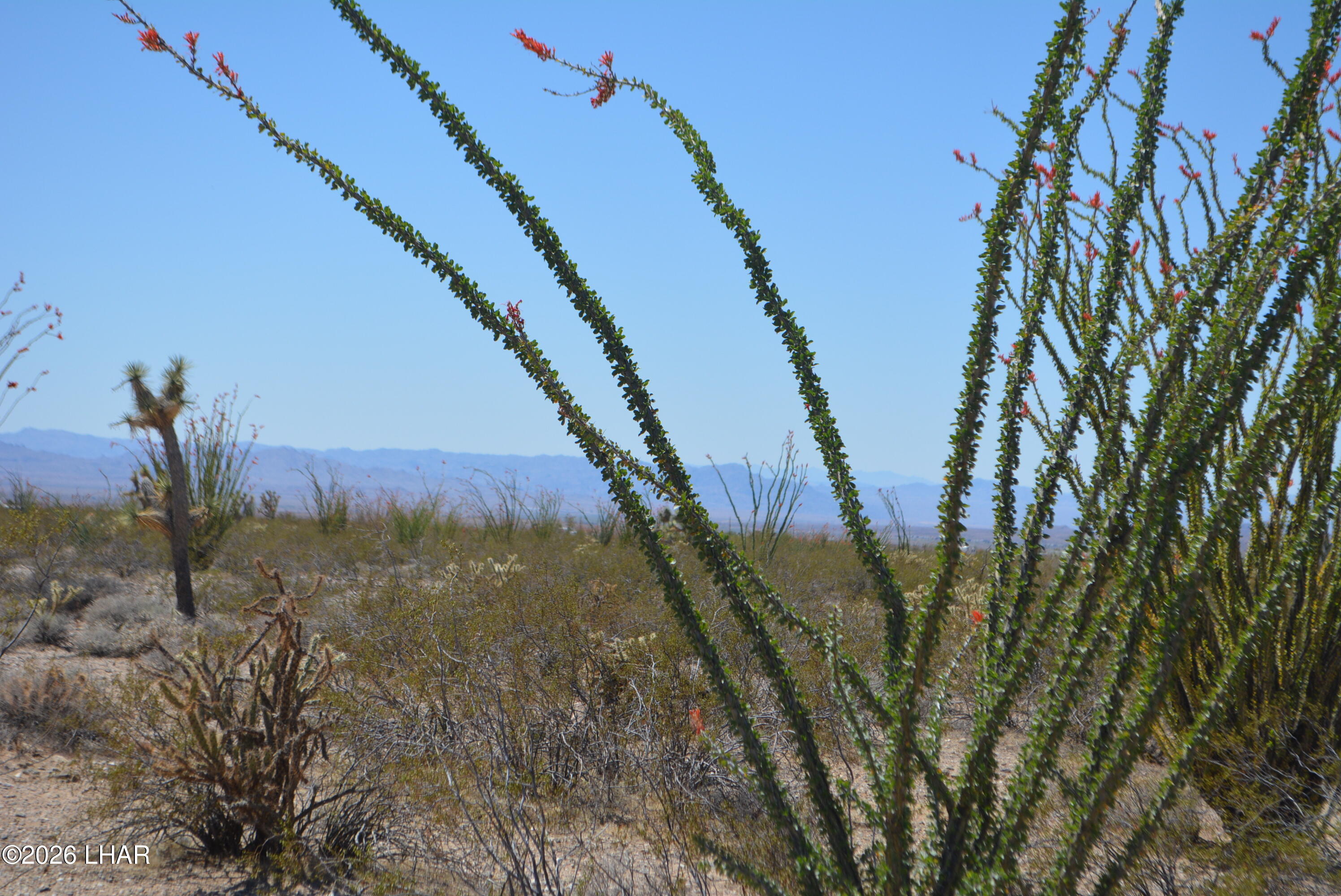 199 Cortaro Road Yucca, AZ 86438 - Photo 19 of 39 a view of a city with a mountain