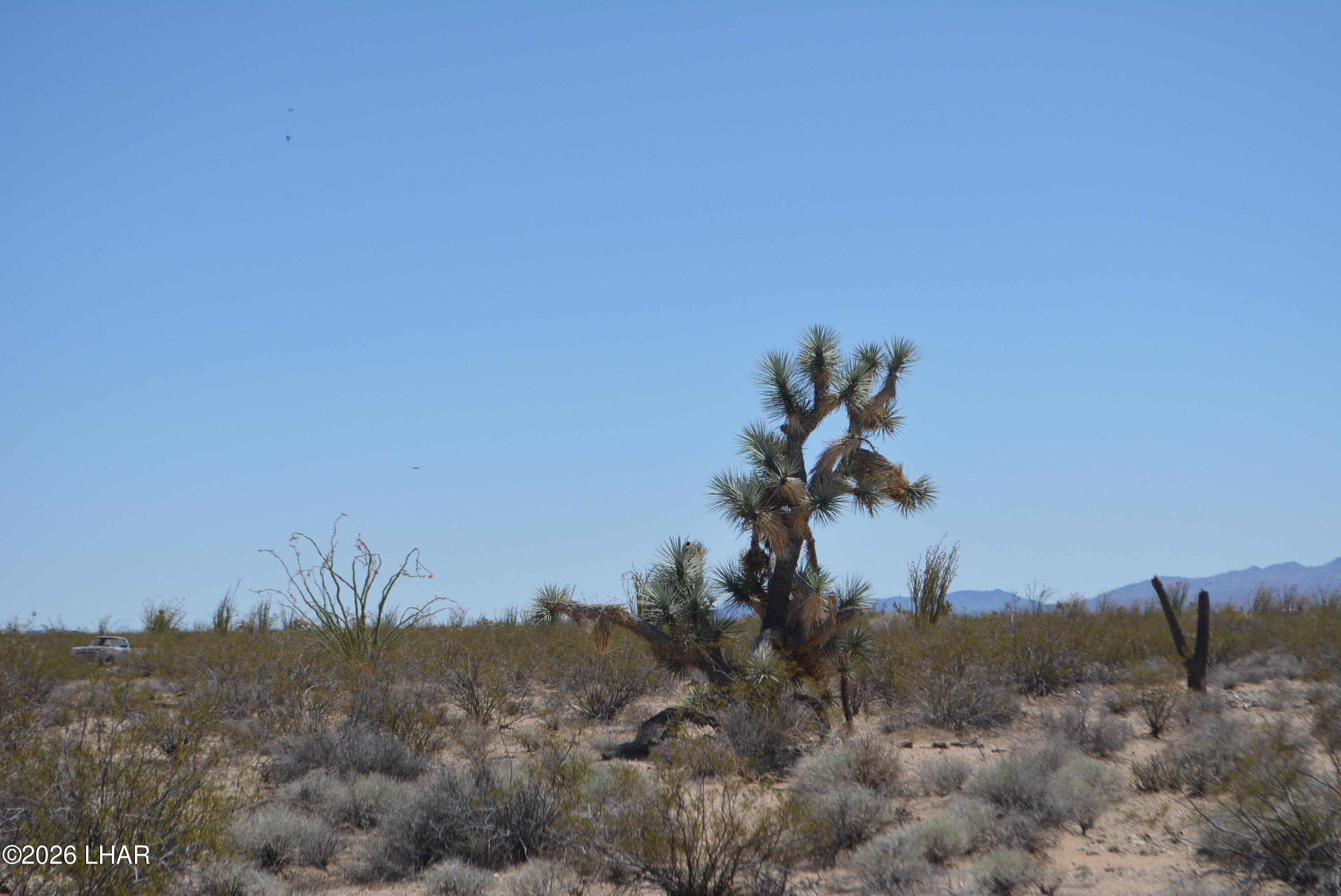 199 Cortaro Road Yucca, AZ 86438 - Photo 32 of 39