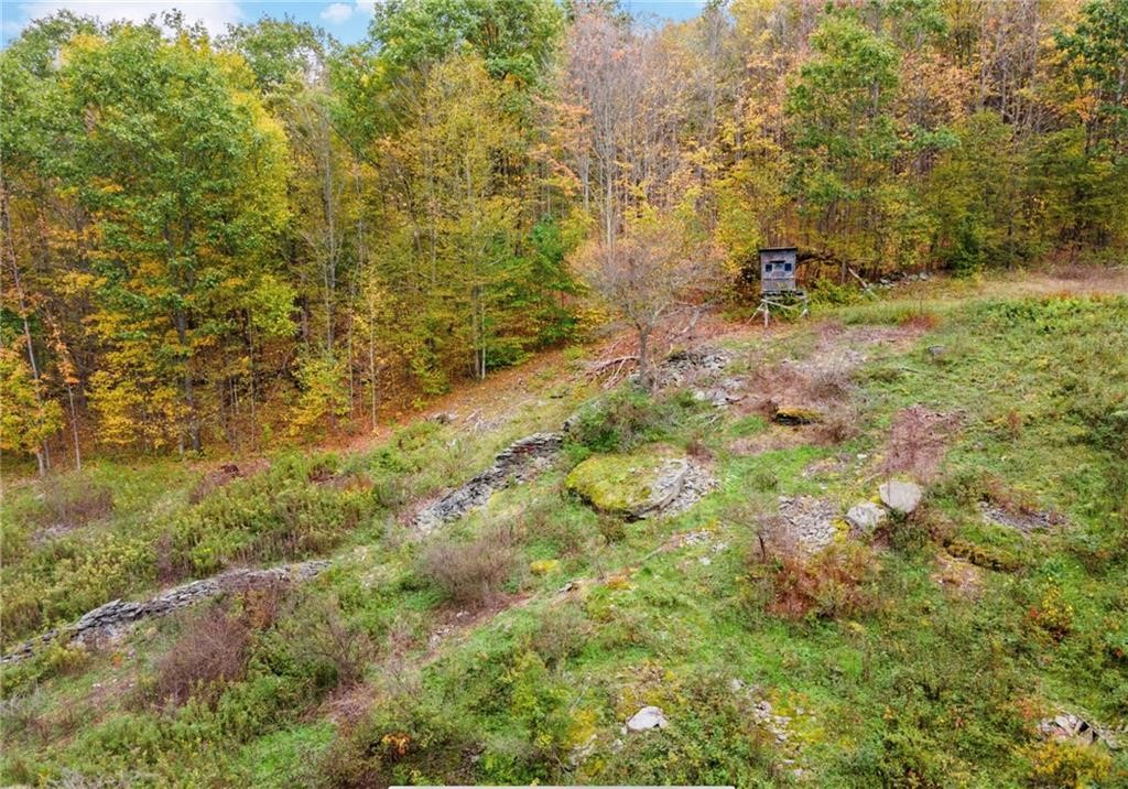 734 Post Road Franklin, NY 13775 - Photo 50 of 50