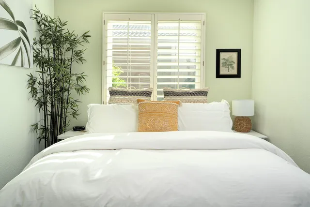 a bed sitting in a spacious bedroom next to a window and potted plant