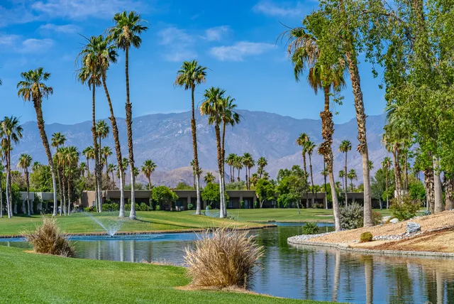 a view of a park with plants and palm trees