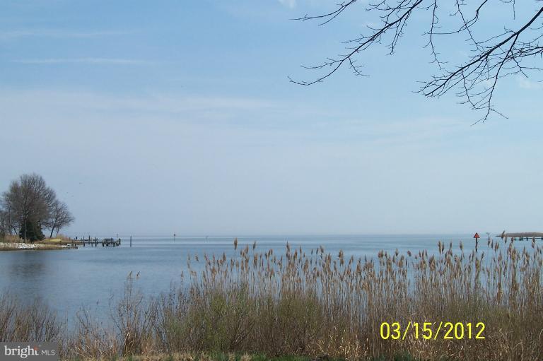 1097 Rodgers Road Churchton, MD 20733 - Photo 5 of 6 a view of ocean with trees