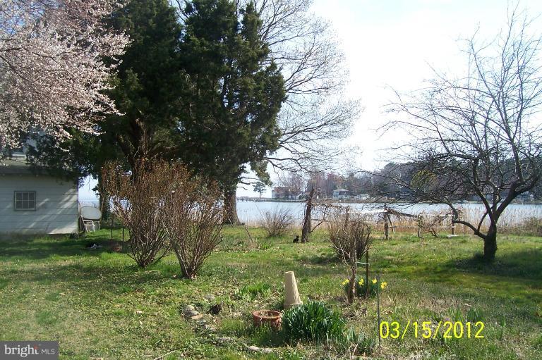 1097 Rodgers Road Churchton, MD 20733 - Photo 6 of 6 a backyard of a house with lots of green space